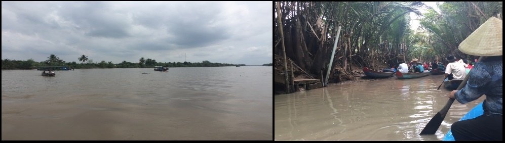 the Mekong Delta