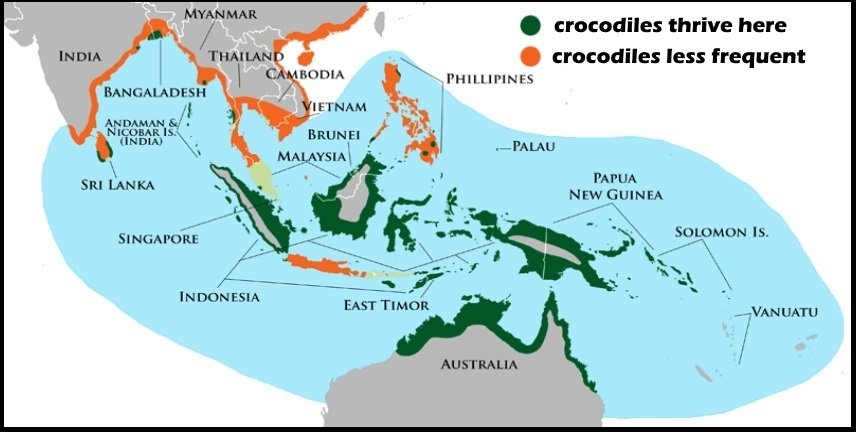 11 areas in which crocodiles live in Asia