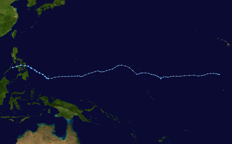 el camino de la tormenta Usagi