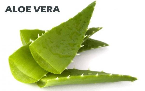 aloe vera for sunburn skin