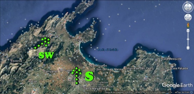 2 viento sur en Pollensa y Alcudia