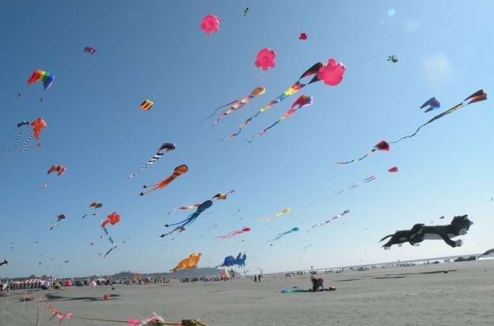 6 festival de kites en Vung Tau